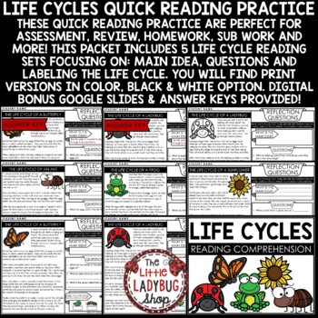 Butterfly Ladybug Life Cycle Reading Comprehension Passages Skills and Questions-2