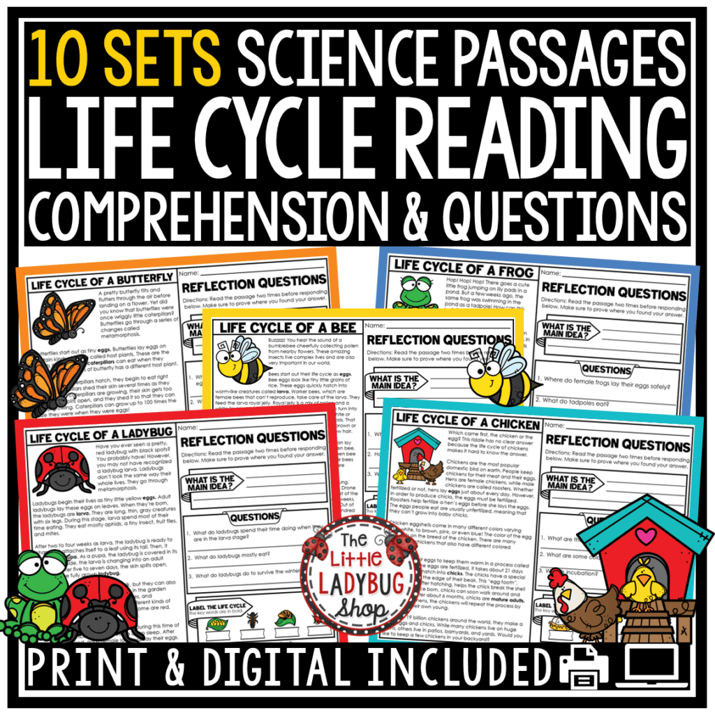Life Cycle of a Butterfly Frog Bee Ladybug Spring Reading Passages ...