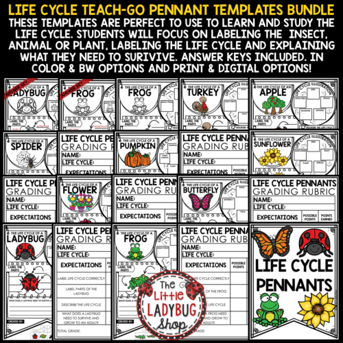 Ladybug Bee Life Cycle of a Plant Butterfly Frog Spring Activities ...