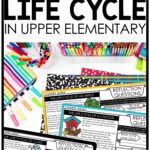 Life Cycles in Upper Elementary Ideas and freebie