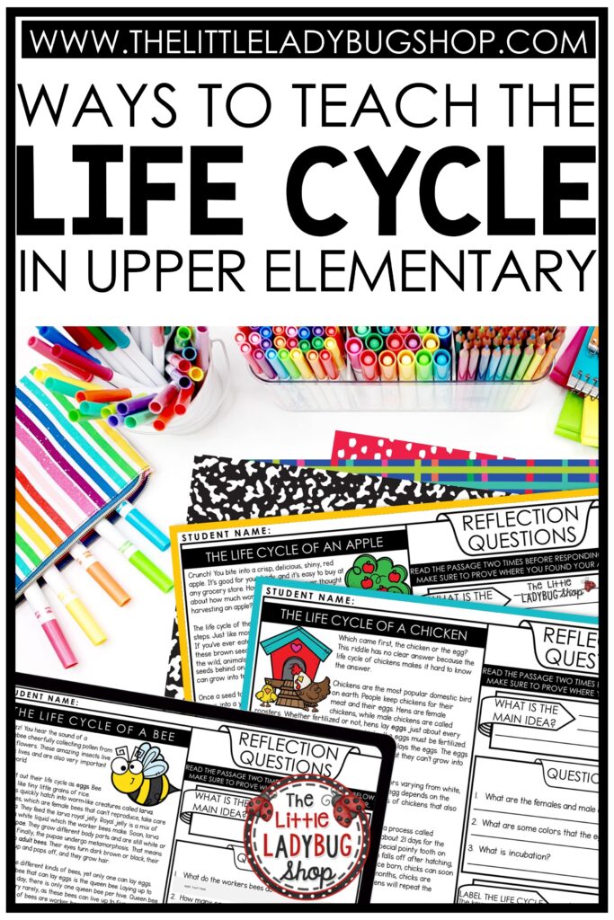 Life Cycle Activities for Upper Elementary Students