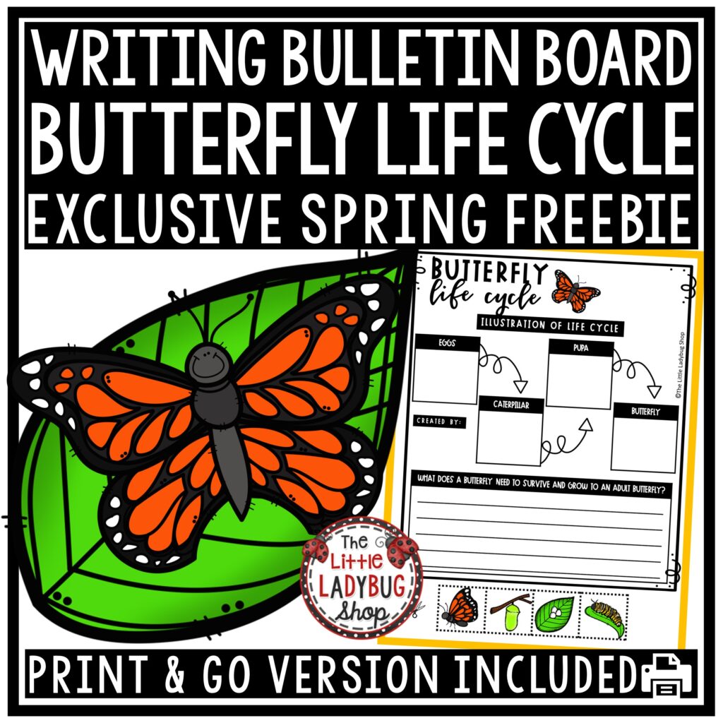 Butterfly Life Cycle Freebie