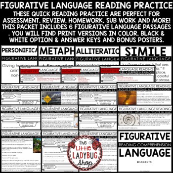 Figurative Language Posters Reading Skills Comprehension Passages and Questions-2