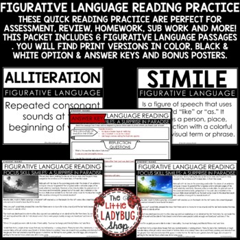 Figurative Language Posters Reading Skills Comprehension Passages and Questions-3