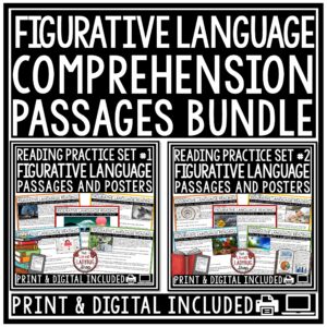 Figurative Language Posters Reading Skills Comprehension Passages and Questions -preview