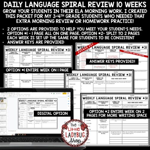 Daily Grammar Spiral Language Review Worksheets Set #4