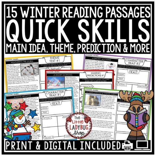 Winter Themed Reading Skills Passages