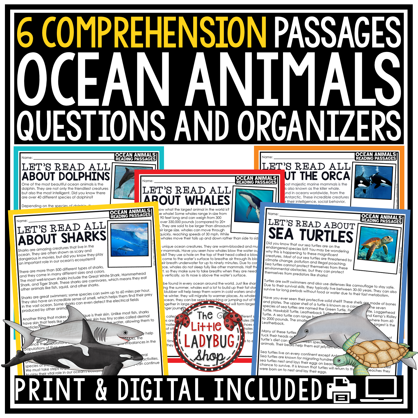 Whales Sharks Orcas Summer Ocean Animals Reading Comprehension End of Year