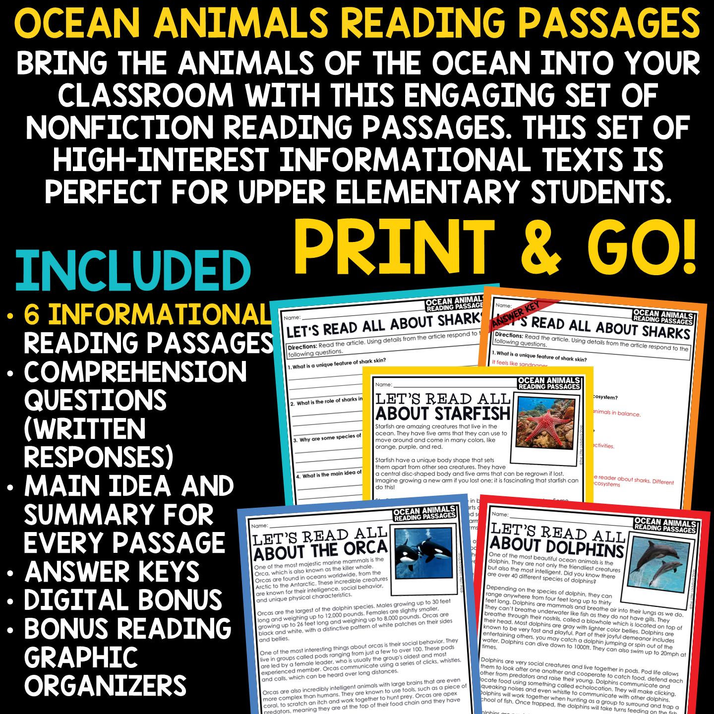 Whales Sharks Orcas Summer Ocean Animals Reading Comprehension End of Year