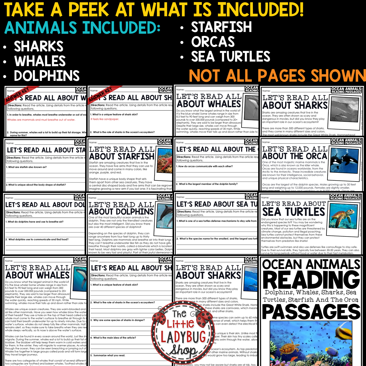 Whales Sharks Orcas Summer Ocean Animals Reading Comprehension End of Year