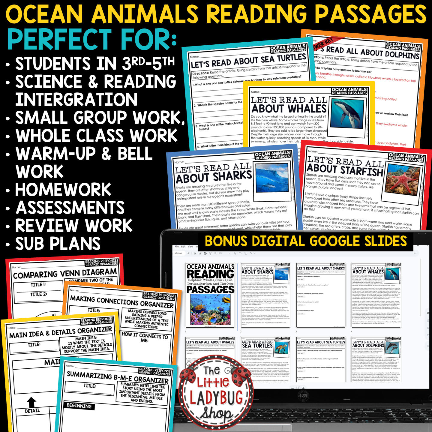 Whales Sharks Orcas Summer Ocean Animals Reading Comprehension End of Year