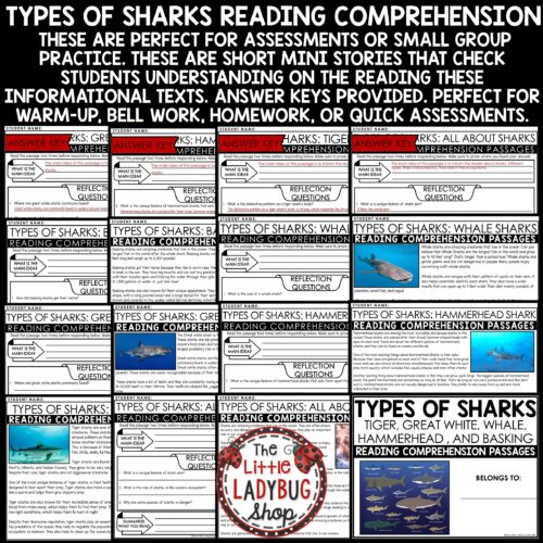 Ocean Animals Sharks Reading Passages