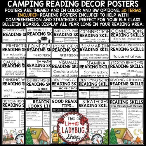 Camp Theme Reading Comprehension Posters