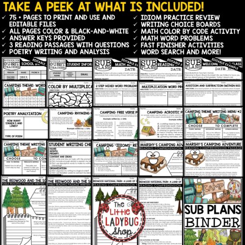 Camping Theme Emergency Sub Plans 3rd 4th Grade Substitute Binder Lesson Template
