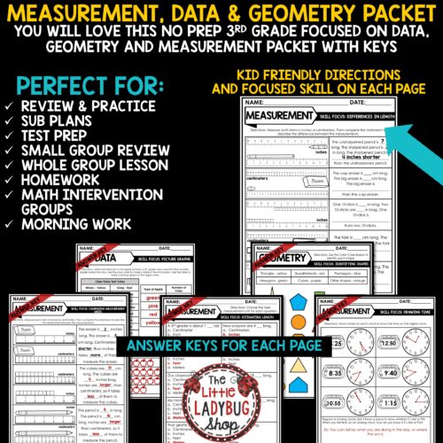 3rd Grade Measurement Geometry Data Review Practice