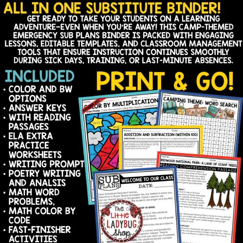 Camping Theme Emergency Sub Plans 3rd 4th Grade Substitute Binder Lesson Template