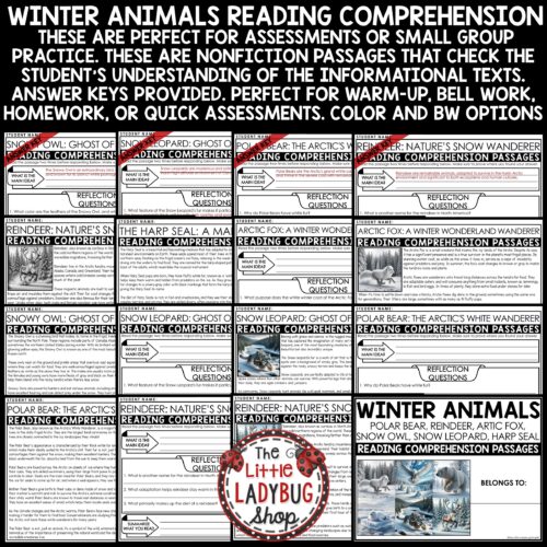 Winter Animals Reading Comprehension Passages