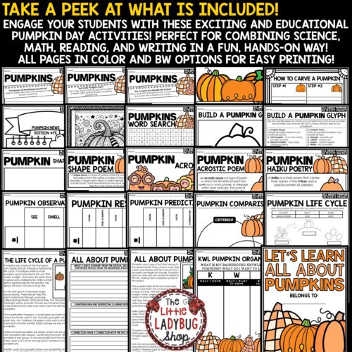 Pumpkin Day Activities How to Carve a Pumpkin Investigation