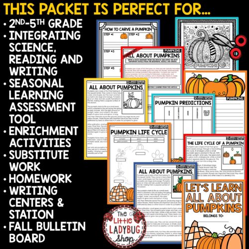 Pumpkin Day Activities How to Carve a Pumpkin Investigation