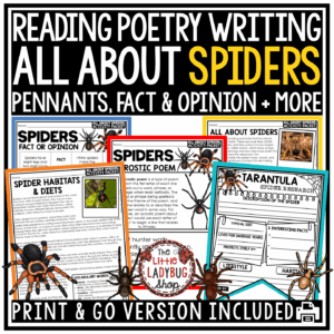 Spiders Reading Passages Craft Arachnids Spiders Habitat Activities