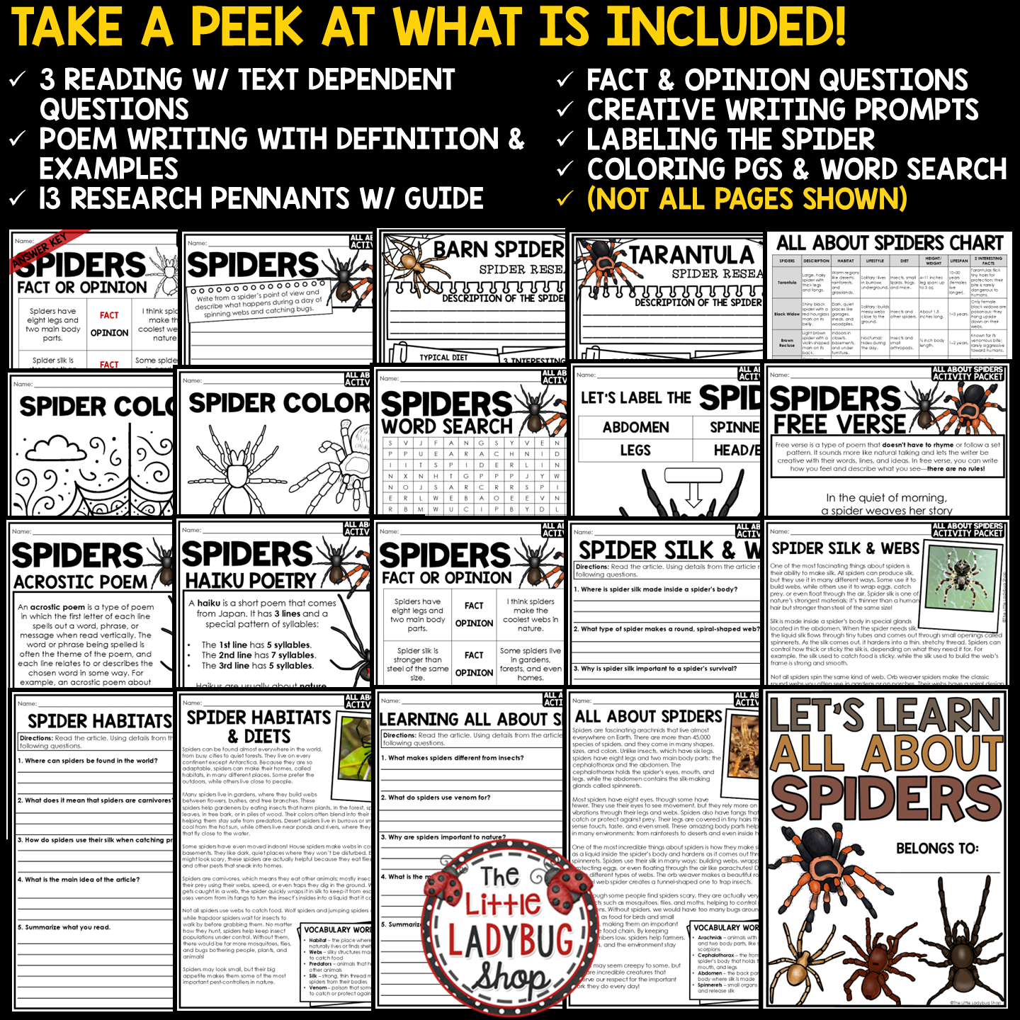 Spiders Reading Passages Craft Arachnids Spiders Habitat Activities