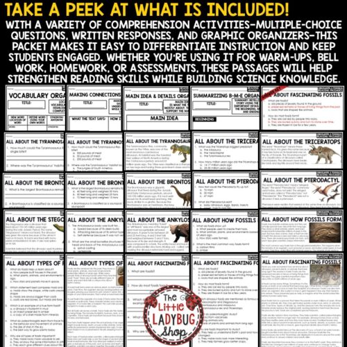 Dinosaurs Activities Reading Passages Types of Fossils Worksheets