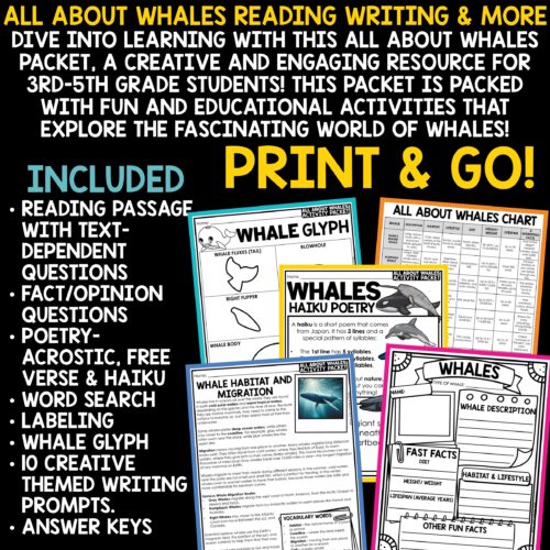 All About Whales Activities Reading Passages Ocean Animals