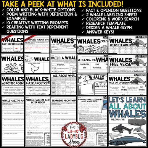 All About Whales Activities Reading Passages Ocean Animals