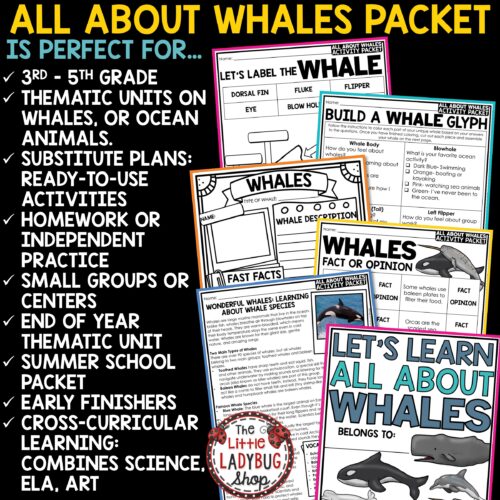 All About Whales Activities Reading Passages Ocean Animals