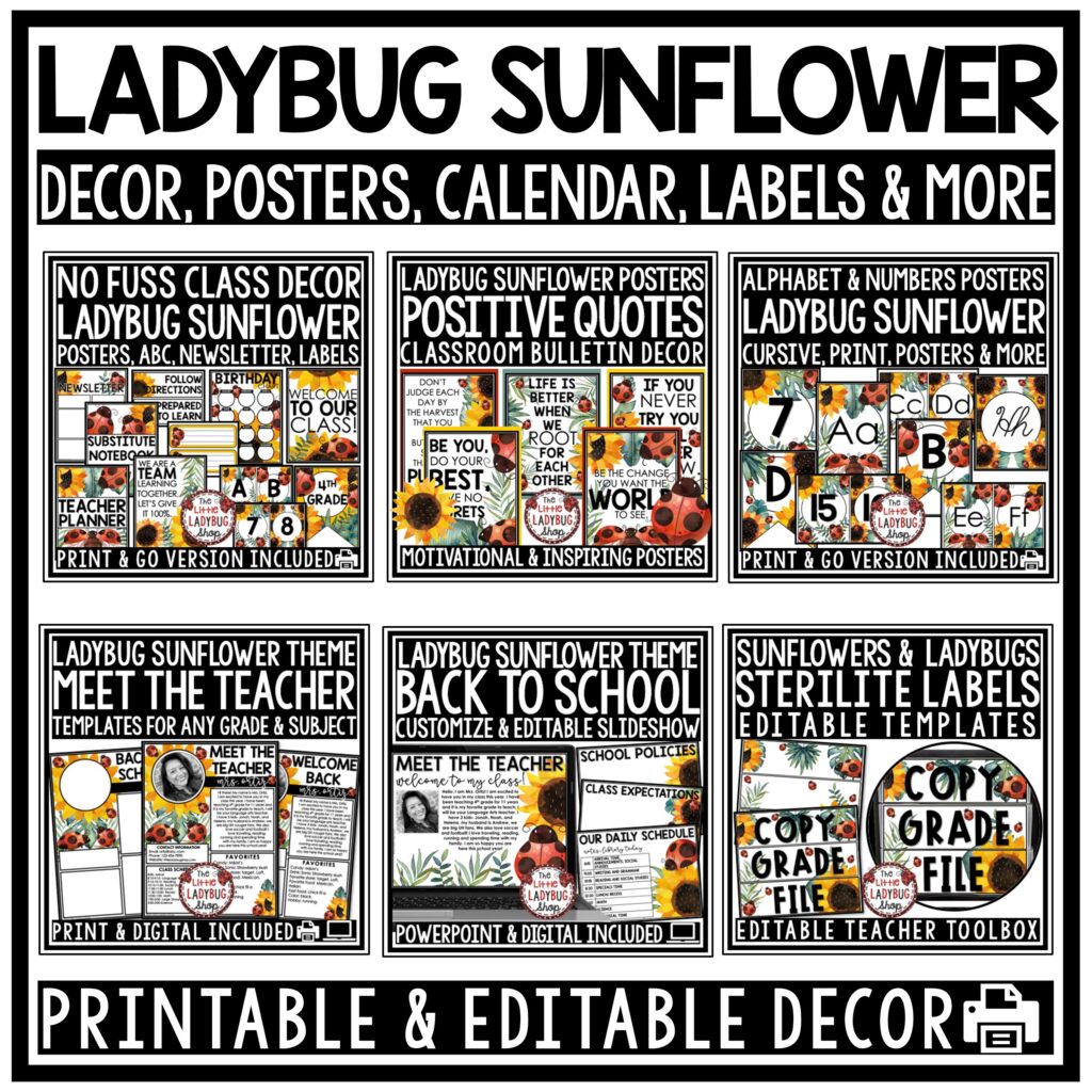 Ladybug Sunflower Theme Back to school class decor