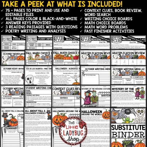 Fall October Emergency Sub Plans Substitute Binder
