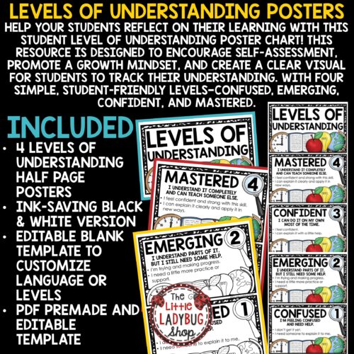 Editable Levels of Understanding Posters for Student Self-Assessment Class Decor