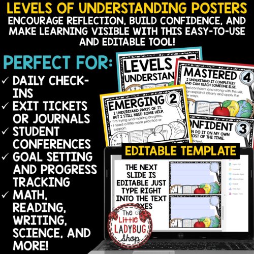 Editable Levels of Understanding Posters for Student Self-Assessment Class Decor