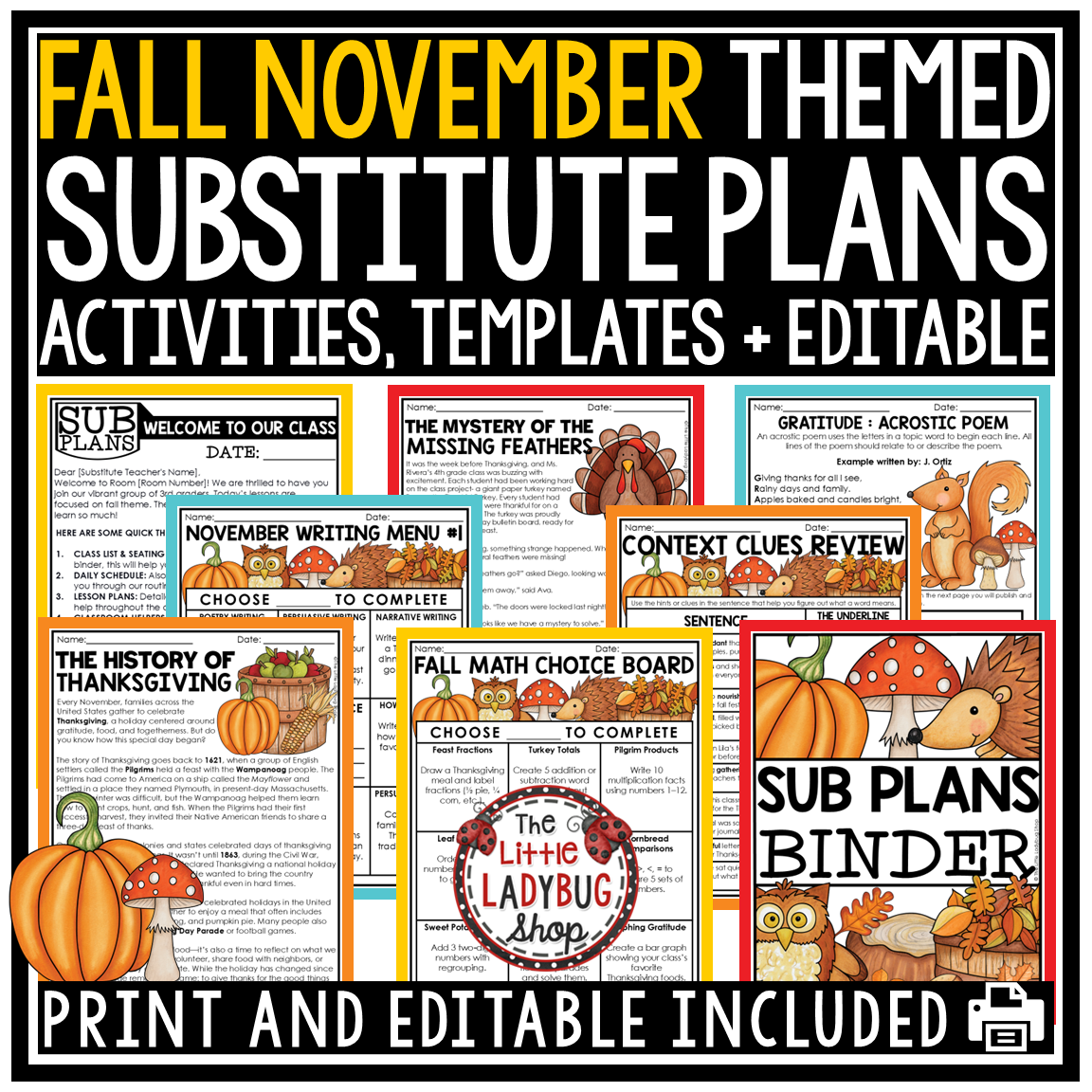 Fall November Emergency Sub Plans Substitute Binder