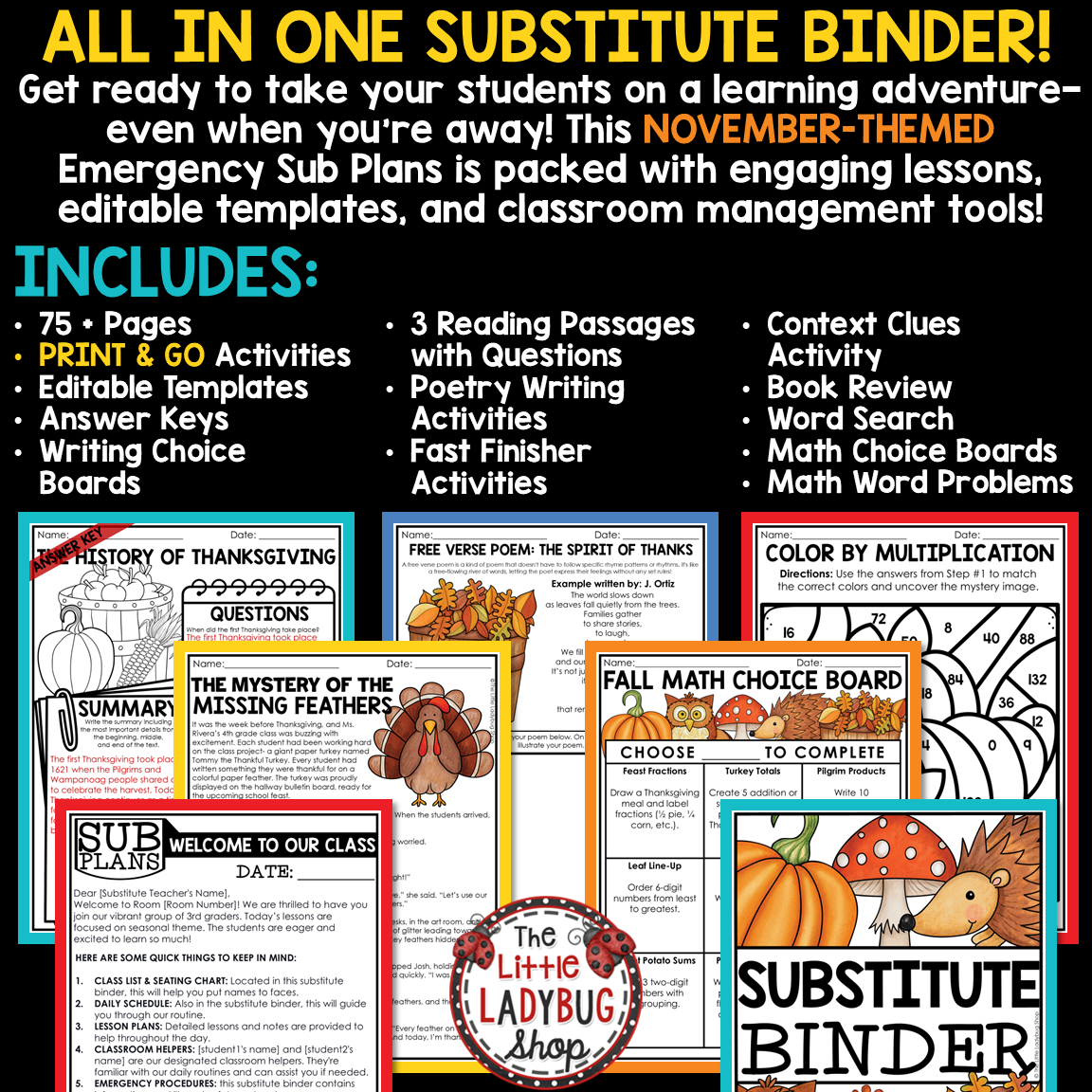 Fall November Emergency Sub Plans Substitute Binder