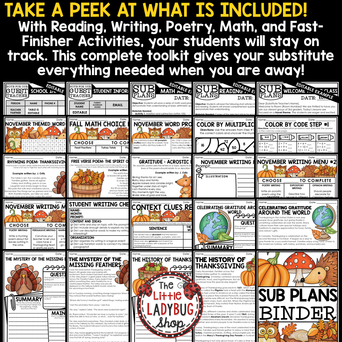 Fall November Emergency Sub Plans Substitute Binder