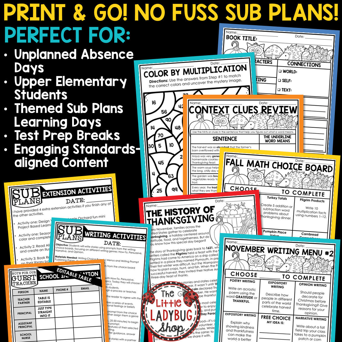 Fall November Emergency Sub Plans Substitute Binder