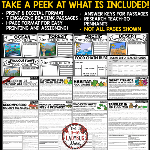 Animal Habitats Ecosystems Food Chains and Food Webs Worksheets