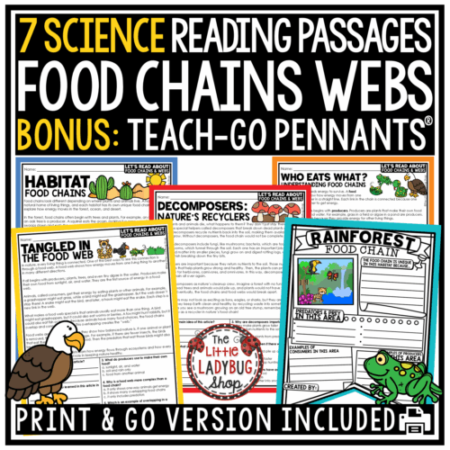 Animal Habitats Ecosystems Food Chains and Food Webs Worksheets