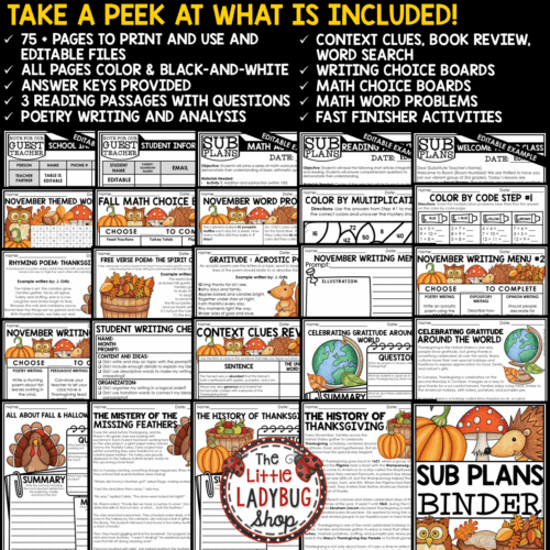 Emergency November Fall No Prep Sub Plans 3rd 4th Grade Substitute Binder Plans