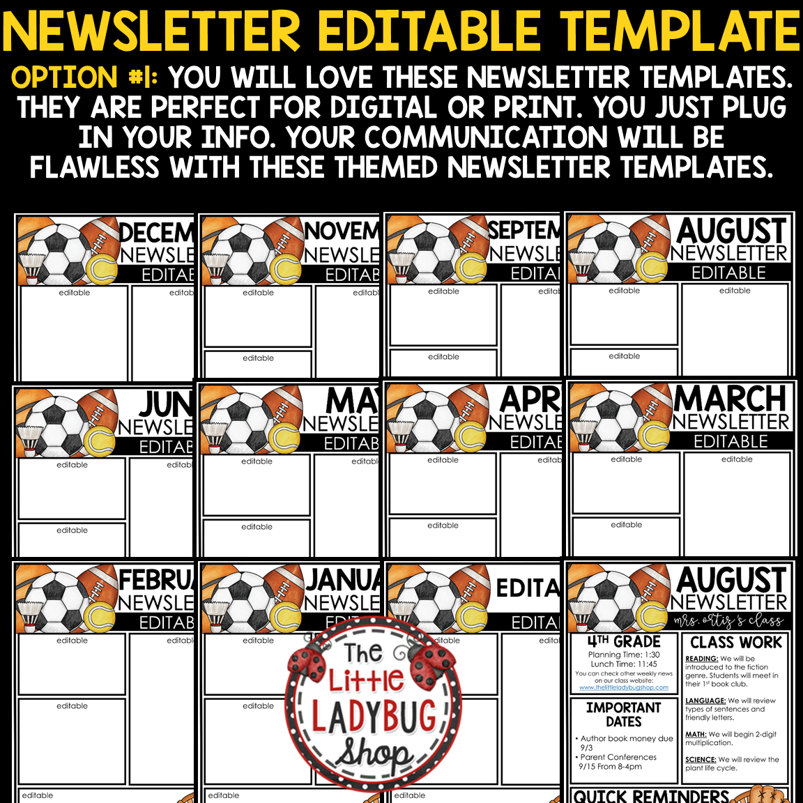 All Star Team Sports Theme Weekly Newsletter Template Editable