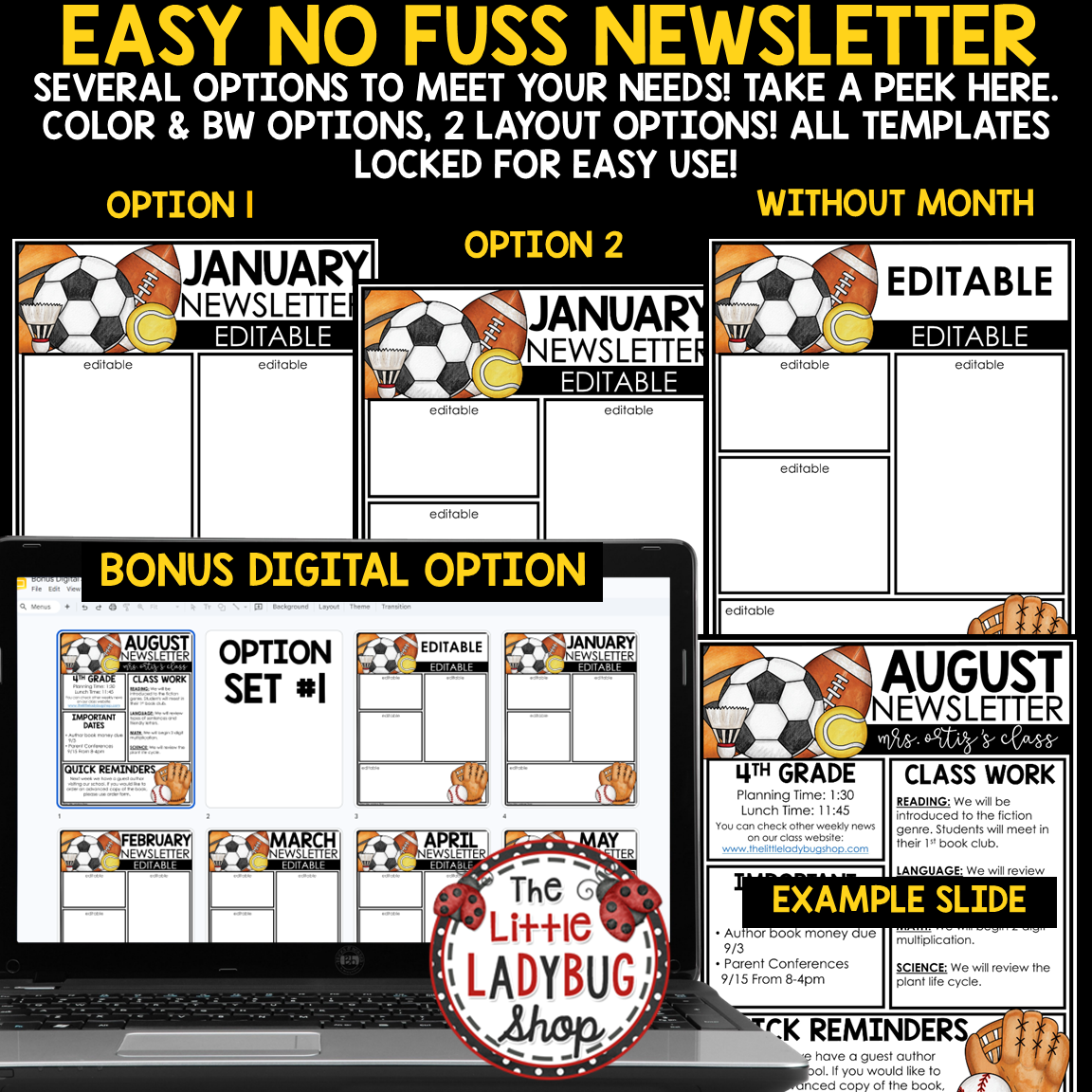 All Star Team Sports Theme Weekly Newsletter Template Editable
