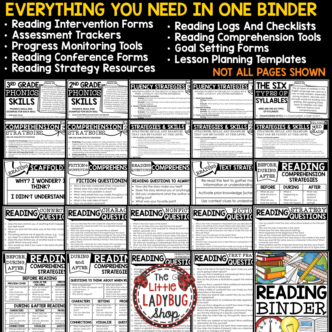 Reading Intervention Activities Binder Phonics Small Group Lesson Plan