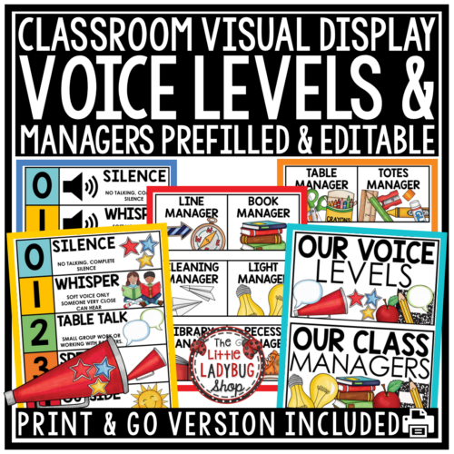 Voice Volume Level Visuals Charts Posters Student Classroom Jobs