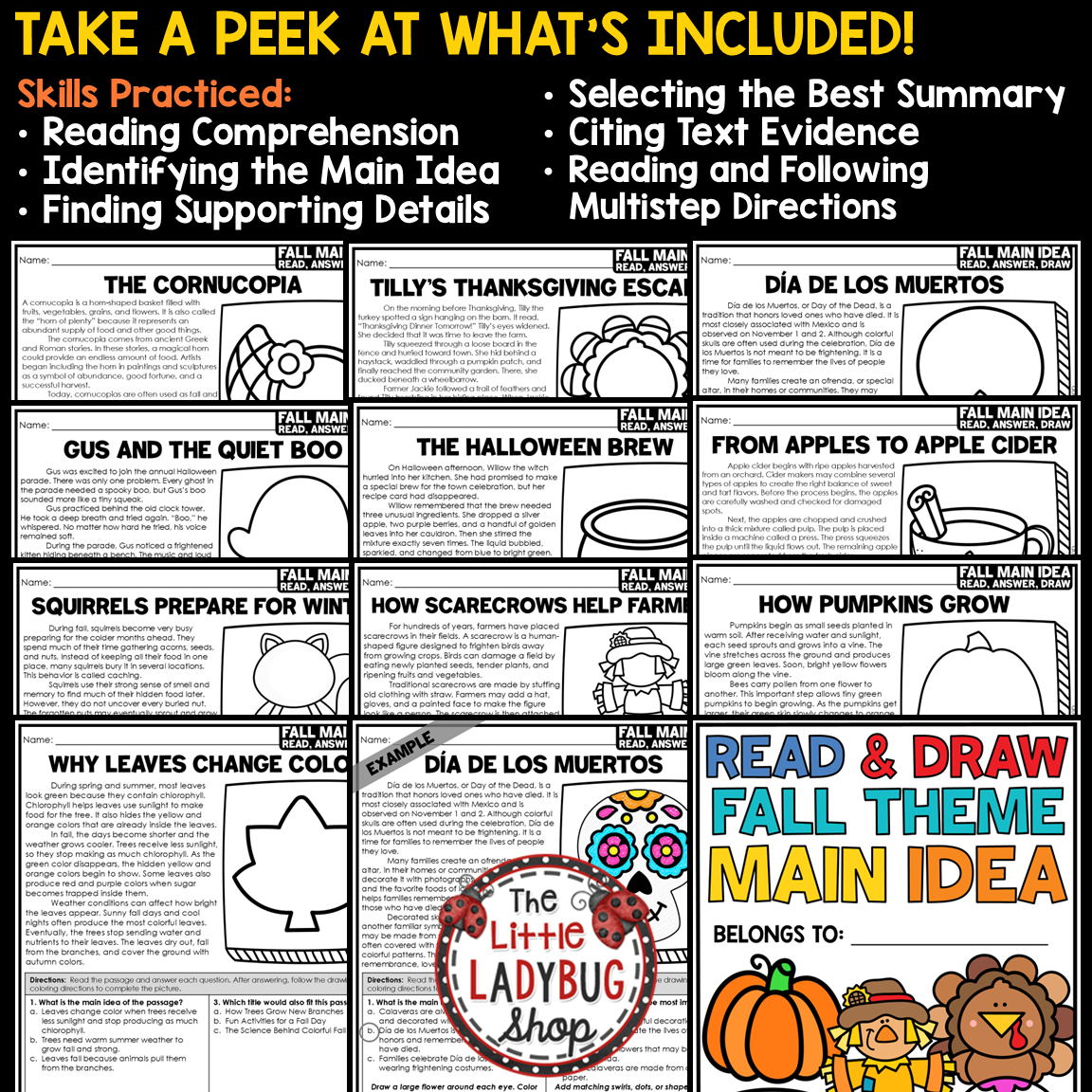 Fall Halloween Main Idea and Supporting Key Details Reading Passages