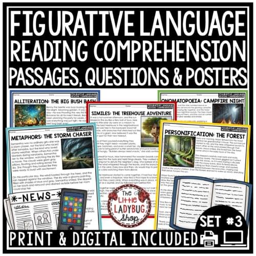 Figurative Language Reading Passages Questions 3rd 4th Grade